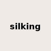silking是什么意思