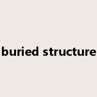 buried structure是什么意思