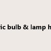 electric bulb & lamp holder是什么意思