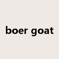 boer goat是什么意思