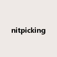 nitpicking是什么意思