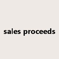 sales proceeds是什么意思