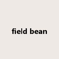 field bean是什么意思