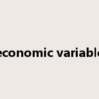 economic variable是什么意思