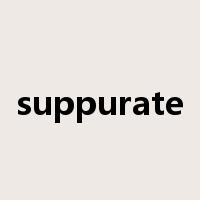 suppurate是什么意思