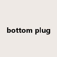 bottom plug是什么意思