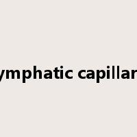 lymphatic capillary是什么意思