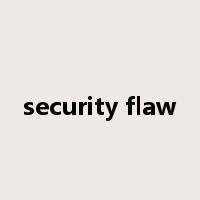 security flaw是什么意思