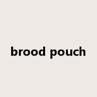 brood pouch是什么意思