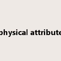 physical attribute是什么意思
