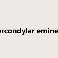 intercondylar eminence是什么意思