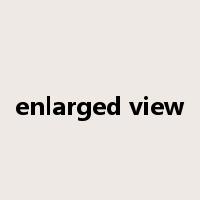 enlarged view是什么意思