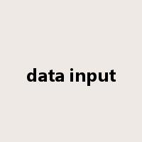 data input是什么意思