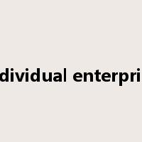 individual enterprise是什么意思