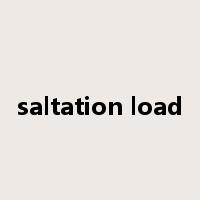saltation load是什么意思