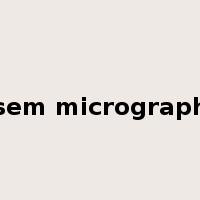sem micrograph是什么意思
