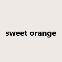 sweet orange是什么意思