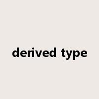 derived type是什么意思