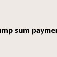 lump sum payment是什么意思
