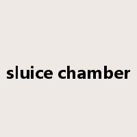 sluice chamber是什么意思