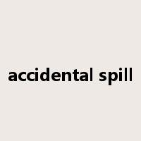 accidental spill是什么意思