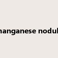 manganese nodule是什么意思