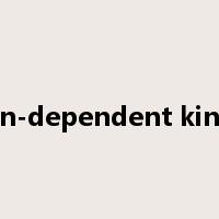 cyclin-dependent kinases是什么意思
