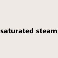 saturated steam是什么意思