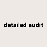 detailed audit是什么意思
