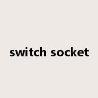 switch socket是什么意思