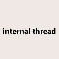 internal thread是什么意思