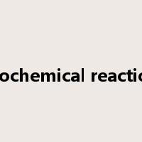 biochemical reaction是什么意思