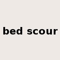 bed scour是什么意思