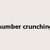 number crunching是什么意思
