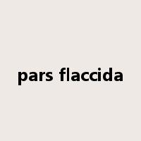 pars flaccida是什么意思