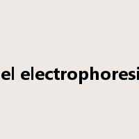 gel electrophoresis是什么意思
