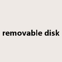removable disk是什么意思