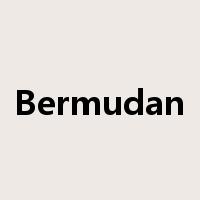 Bermudan是什么意思