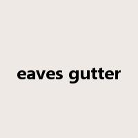 eaves gutter是什么意思