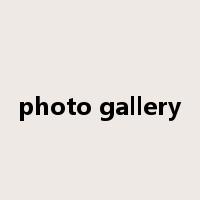 photo gallery是什么意思