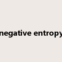 negative entropy是什么意思