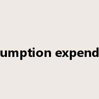 consumption expenditure是什么意思