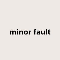 minor fault是什么意思