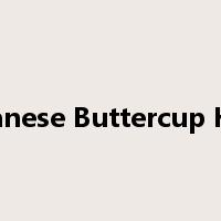 Japanese Buttercup Herb是什么意思