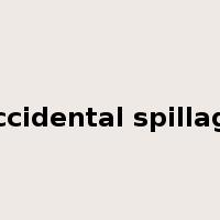accidental spillage是什么意思
