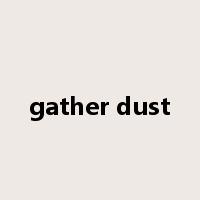 gather dust是什么意思