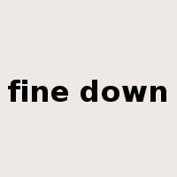 fine down是什么意思