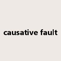 causative fault是什么意思