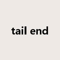tail end是什么意思