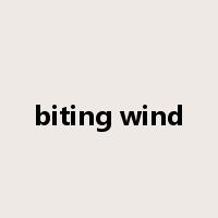 biting wind是什么意思